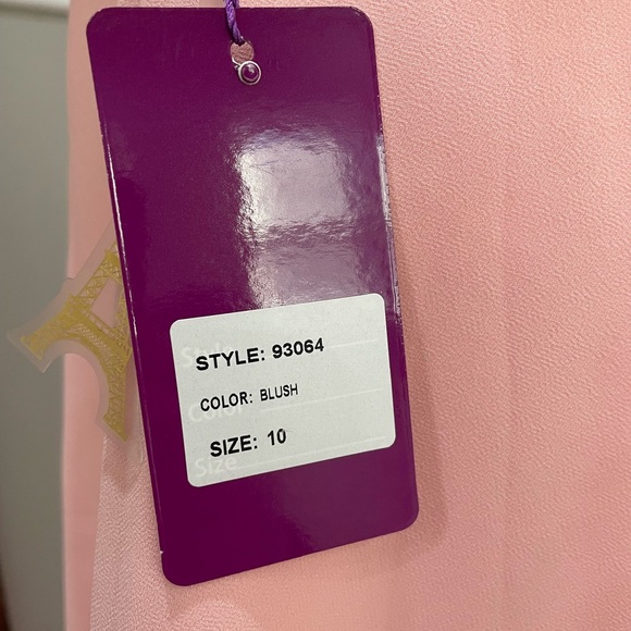 🌟Host Pick🌟Women’s Blush Pink Abby Paris Chiffon Dress - Picture 7 of 12